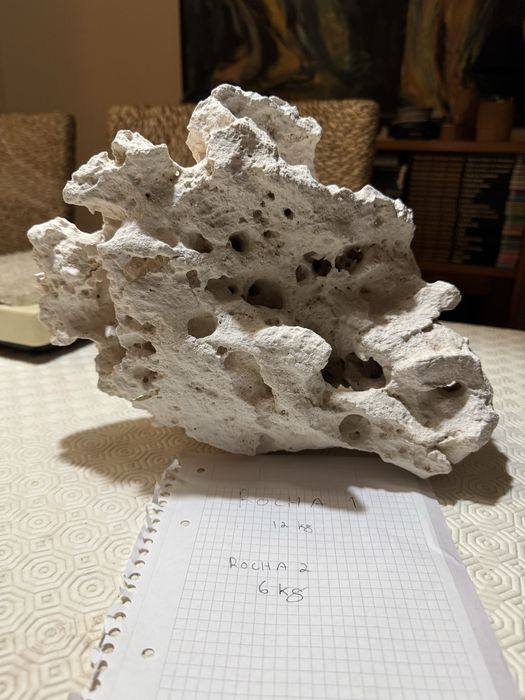 Rochas zanzibar aquario