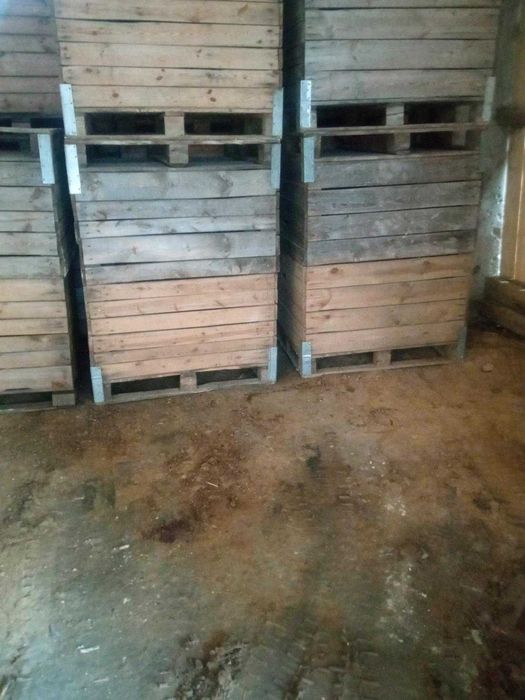 Skrzyniopalety drewniane