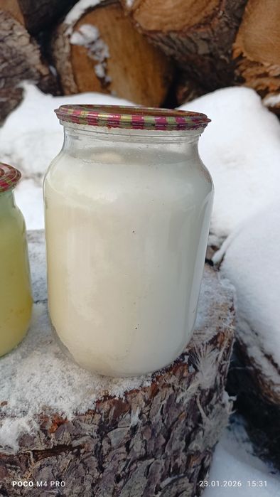 Жир Гусячий Гусиный Свинячий Свининой