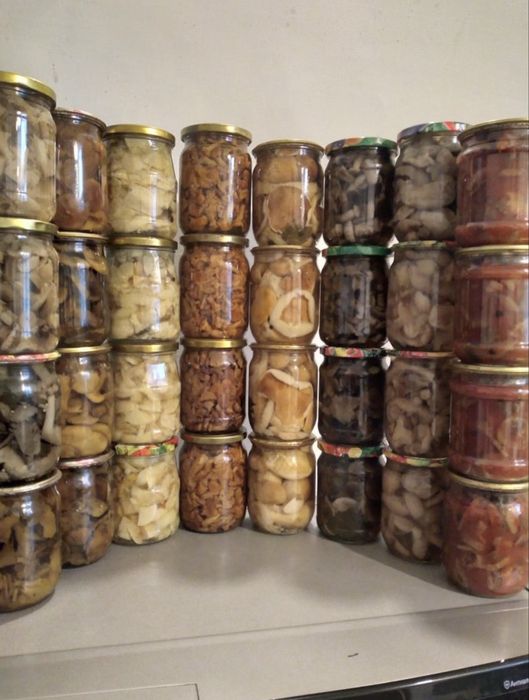 Гриби мариновані, солоні та квашені
