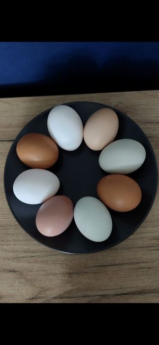 Jajka  naturalne 40 szt