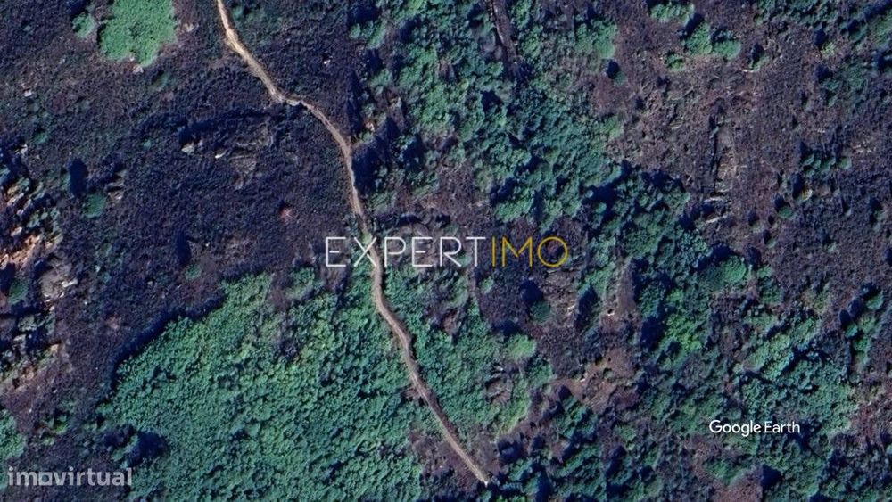 Rustic Land Plot of 1.6 Hectares Bordering a Stream – Vale...