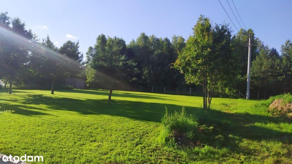 Wyjątkowa Okazja! Działka bez obciązeń * 11647 m2