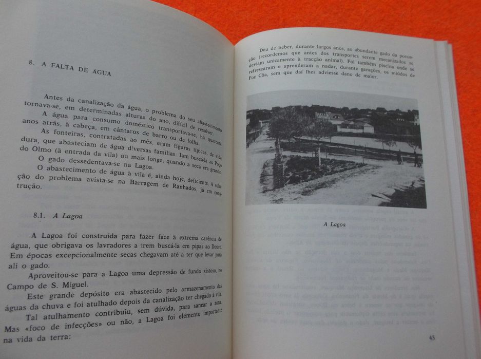 Elementos para uma monografia de Vila Nova de Foz Côa