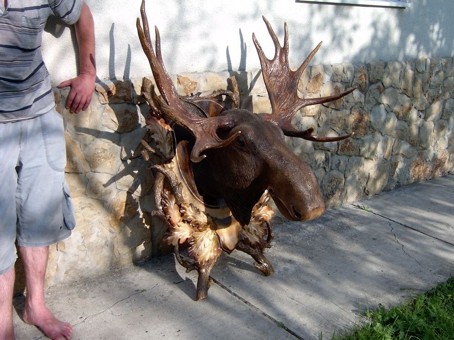 Деревяна голова лося медальйон / ЛОСЬ РОГИ .