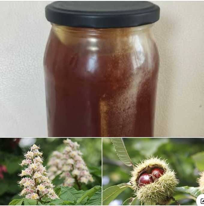 Prawdziwy miód KASZTANOWY o wybitnym smaku i barwie bursztynu, Rarytas