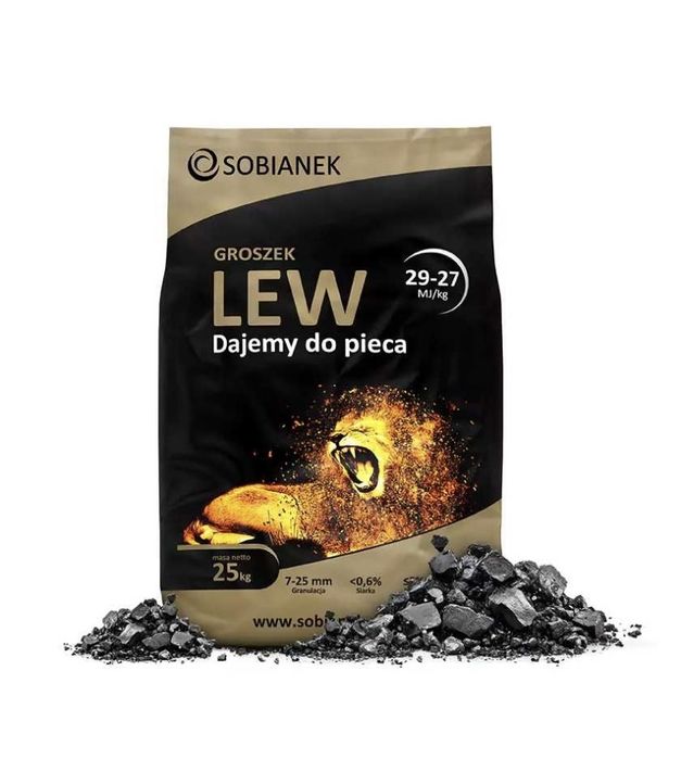 Groszek Sobianek Lew 29-27 MJ