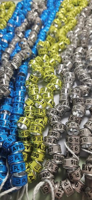 Obrączki na gołębie rasowe 2026