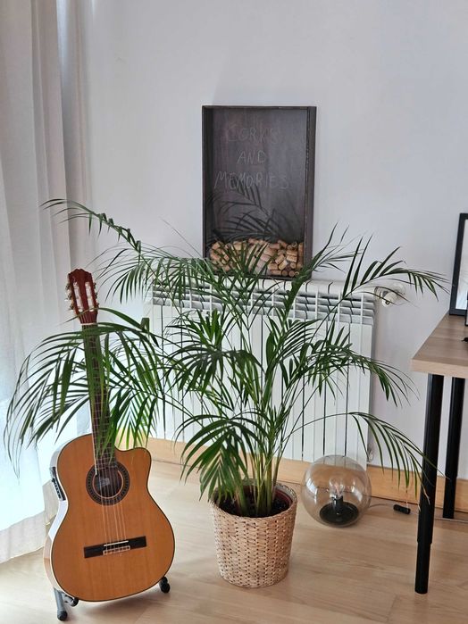 Quadro de Madeira para Guardar Rolhas