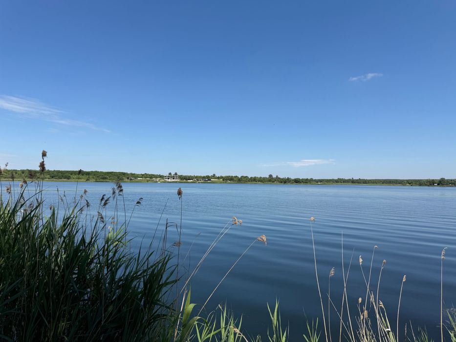 Продаж земельної ділянки від 10 сот озеро Сірка, с. Вільшаниця (Яворівський карʼєр)