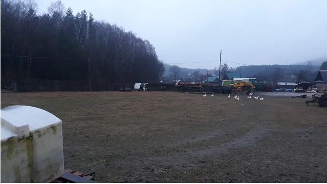 Приватне господарство с. Стіжок Тернопільська область