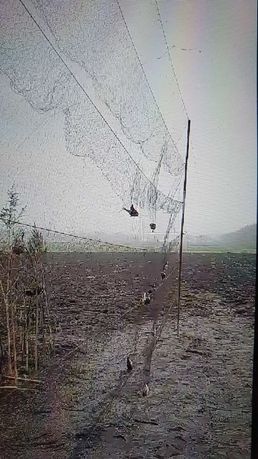 Продам клетки для птиц