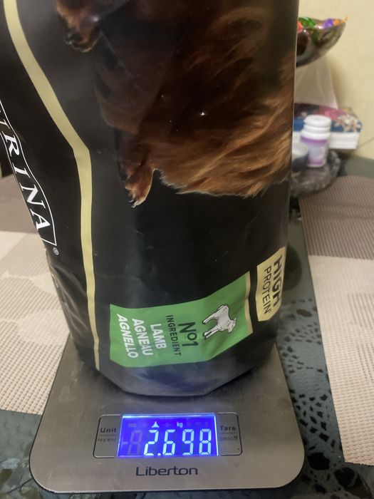 Сухой корм Purina Pro Plan ягненок