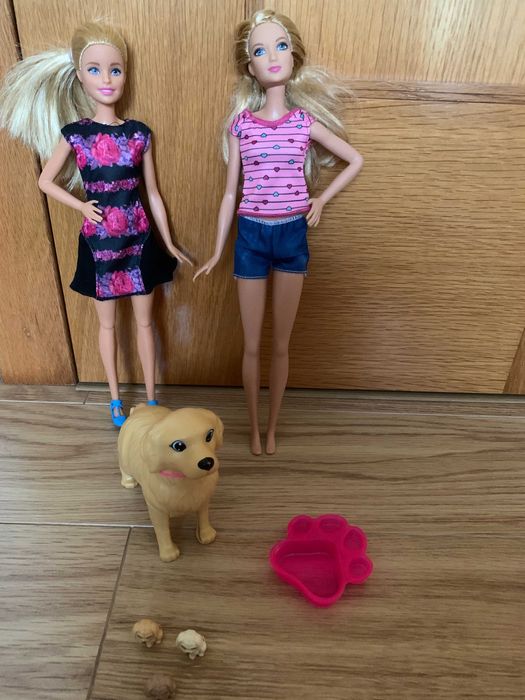 Barbie e os seus Cachorrinhos Bébés - Mattel