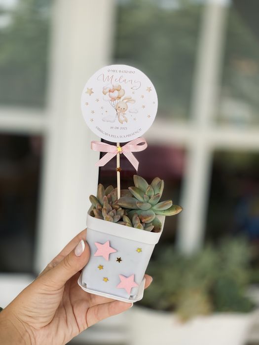 Lembranças suculentas