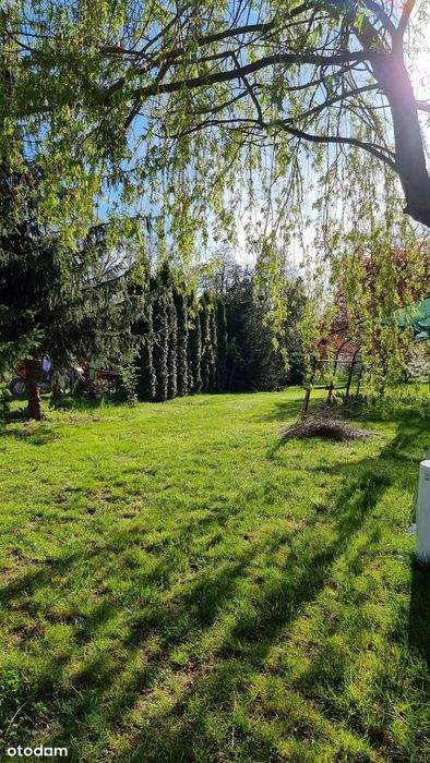 Działka budowlana 3179 m² Wilczków, niedaleko Wrocławia przy lesie - Widok 3