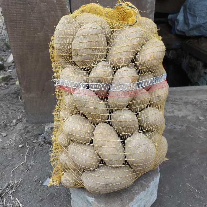 Ziemniaki jadalne od rolnika