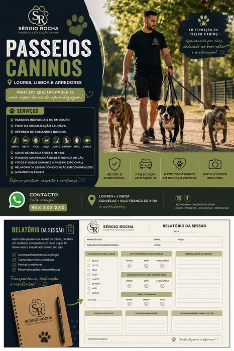 Passeio de cães | Dog Walker | Loures | Socialização e reforço posotivo