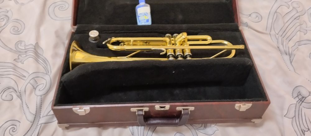 Музикальна труба