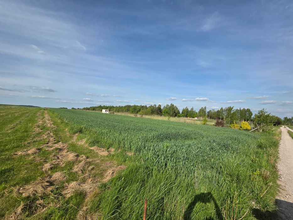 Duża działka pod zabudowę jednorodzinną 12 km od Kielc
