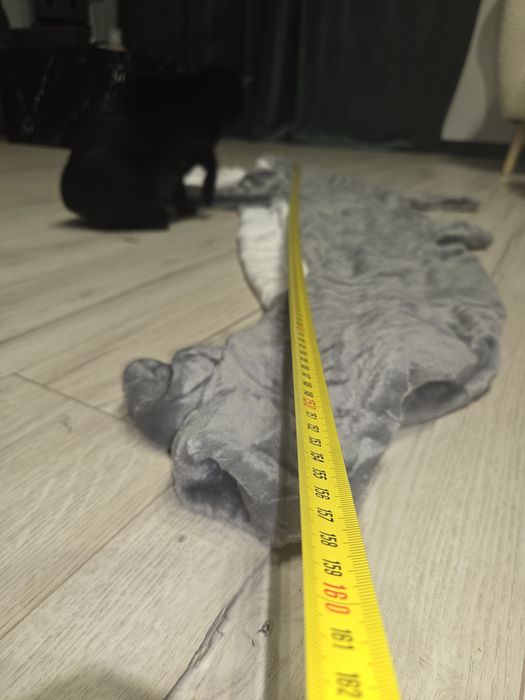 Rekin-koc  dla dzieci