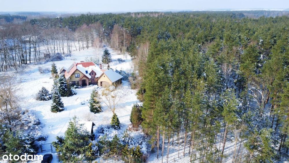 Posiadłość z własnym stawem z linią lasu | 1,9 ha