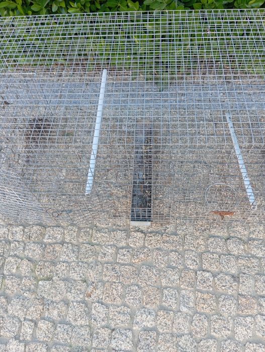 Gaiolas de criação caturras