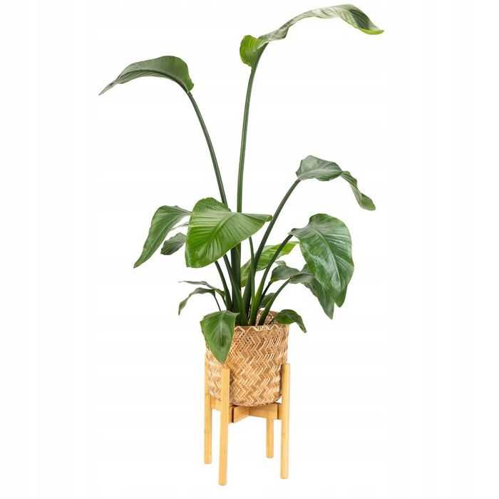 STOJAK NA KWIATY Bambusowy regulowany 35,7 CM – VILLAGO NEST