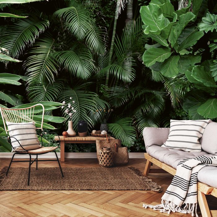 Fototapeta Dżungla Las Liście Natura 3D Na Twój Rozmiar + KLEJ