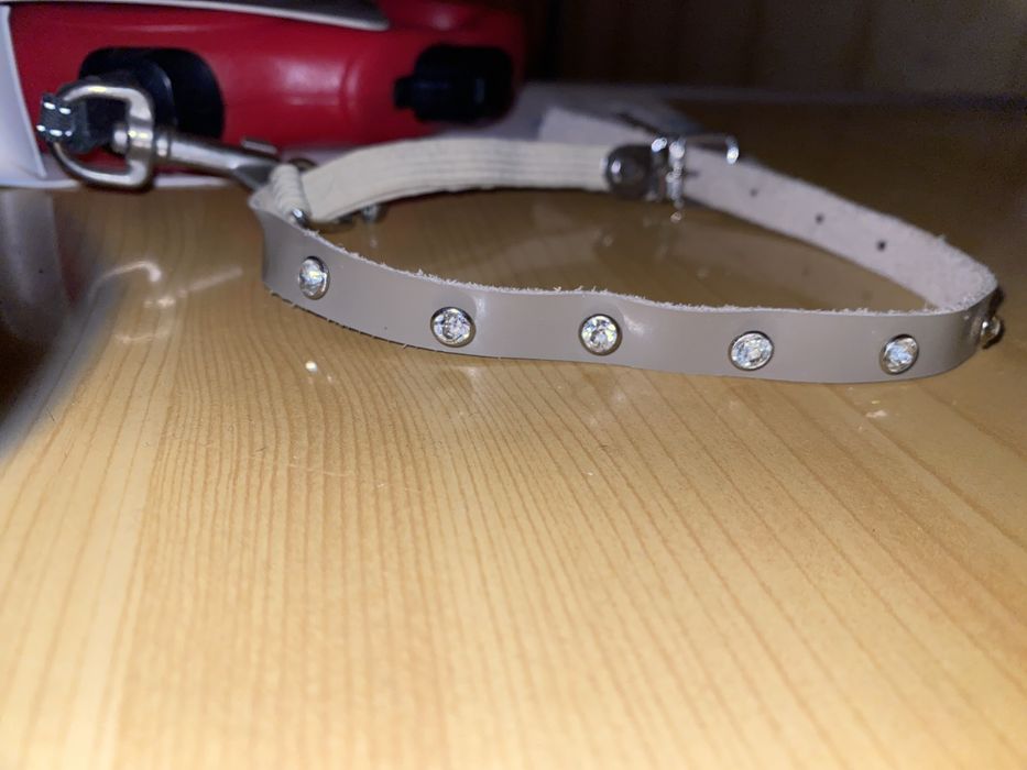 Поводок с ошейником для собаки или кота