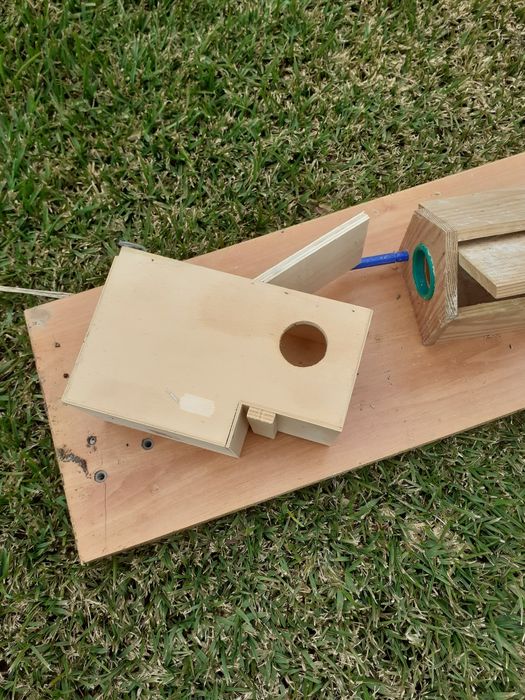 Ninhos para exóticos em bom estado