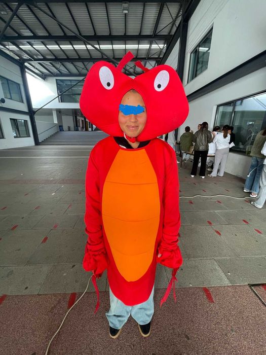 Carnaval máscara disfarce de caranguejo