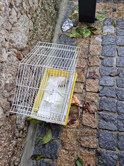 Transportadora e acessórios