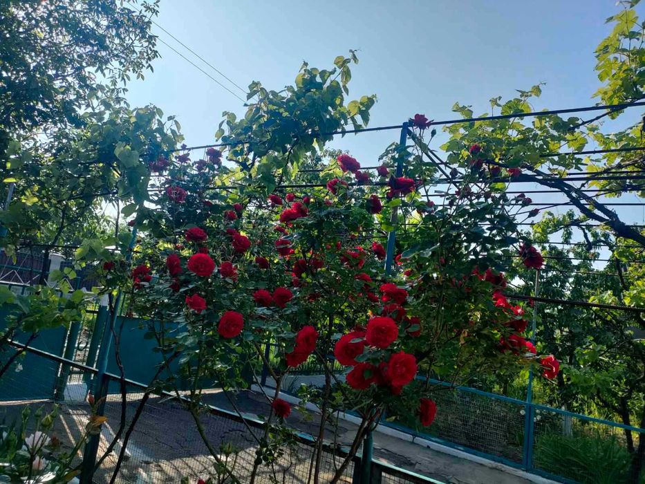 Уютный дом в пригороде!