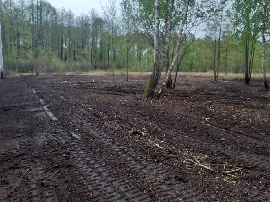 czyszczenie działek mulczer leśny & wgłębny wyrywanie pni koszenie