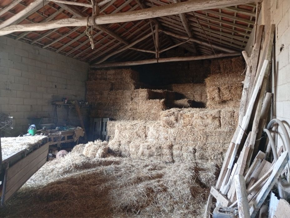 Fardos de feno nascedico