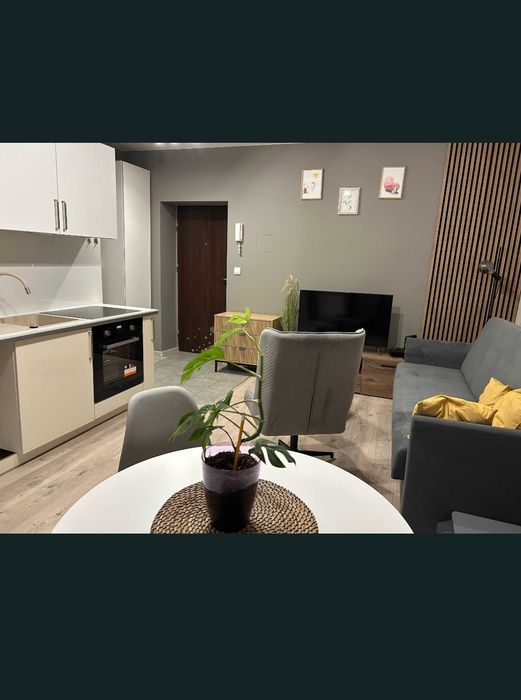 Rezerwacja - Mieszkanie Do Wynajęcia – Ruda Śląska GODULA | 35,4 m² | 2 Pokoje - Widok 2