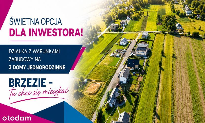 Inwestycja, Która Ma Solidne Fundamenty.