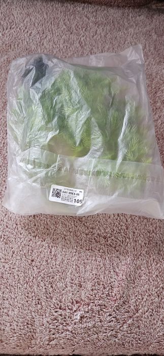 Zielona roślinka do akwarium