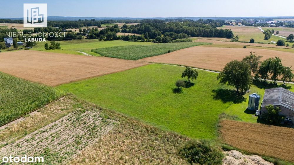 Leszczynki | 3576 m² | WZ na starych zasadach