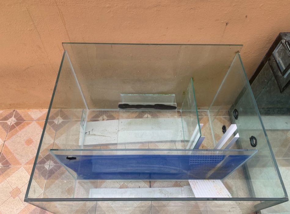 Aquario 550L + sump  412L