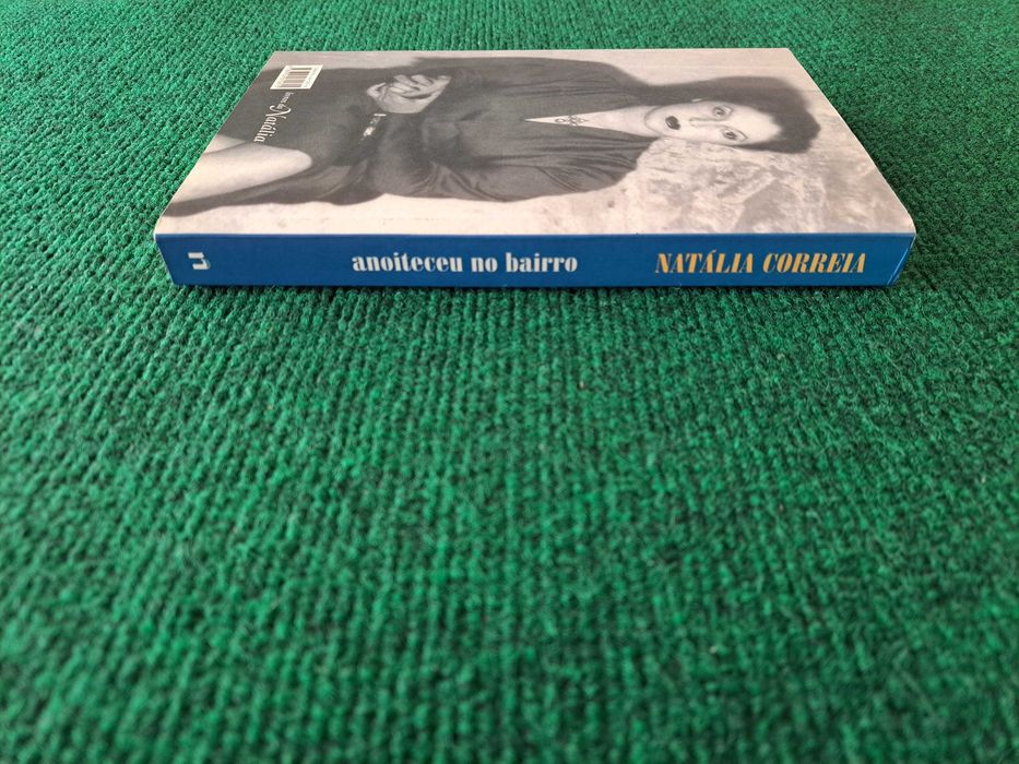 Anoiteceu no bairro - Natália Correia