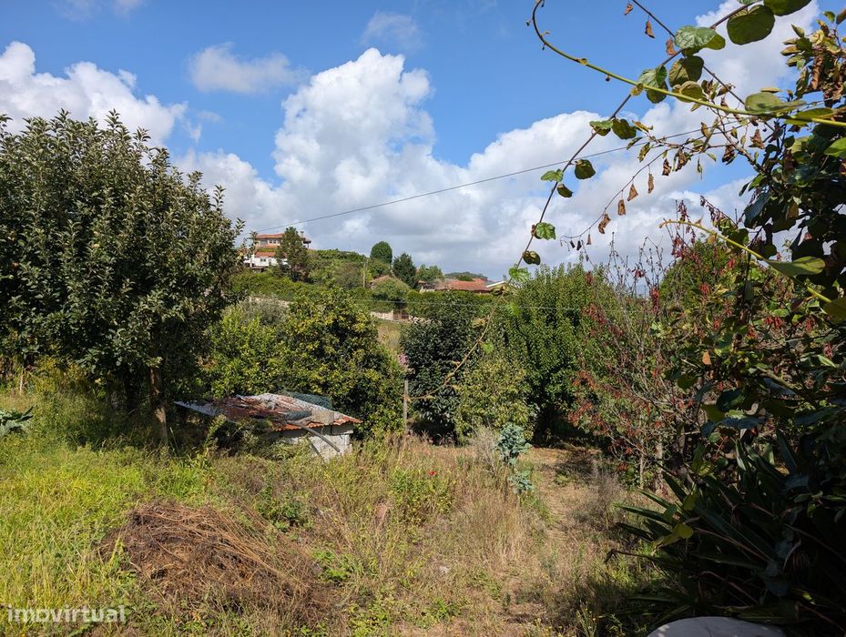 Terreno Misto em Vilaça – 1.100 m²