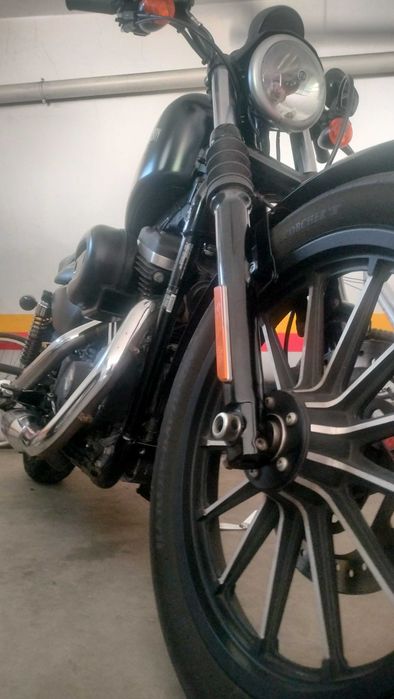 Harley Davidson Iron 883 2014