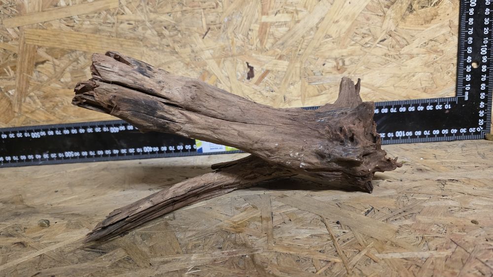 Korzeń do akwarium Polecam