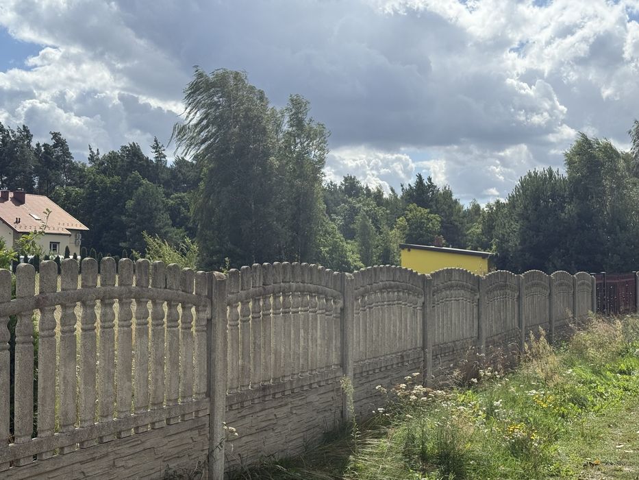 Zdjęcie 2