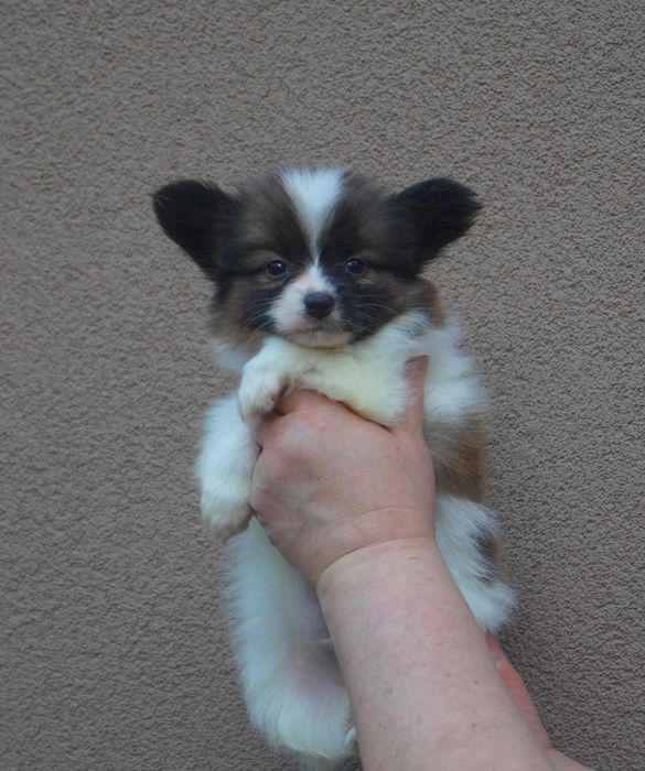 самый лучший мальчик