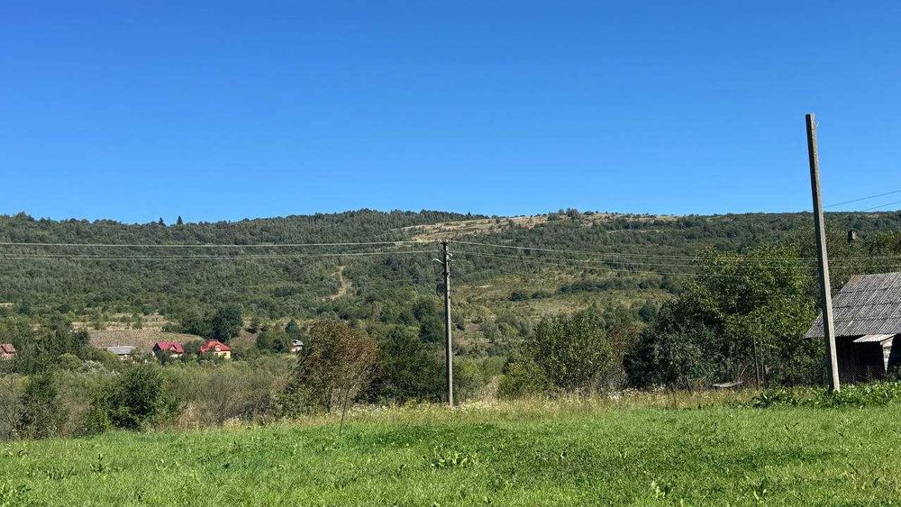 13 соток крушельниця