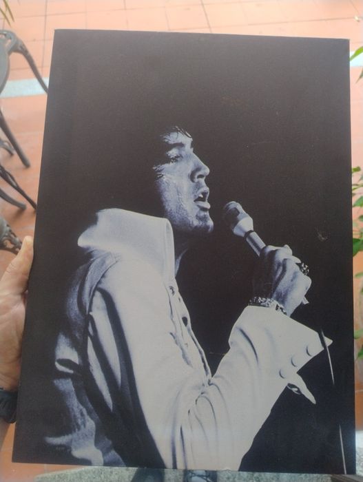 Conjunto de 2 telas – Elvis Presley