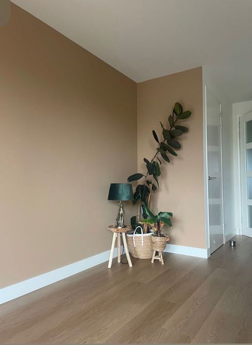 Pintor Profissional / Serviços de Pintura e Remodelação